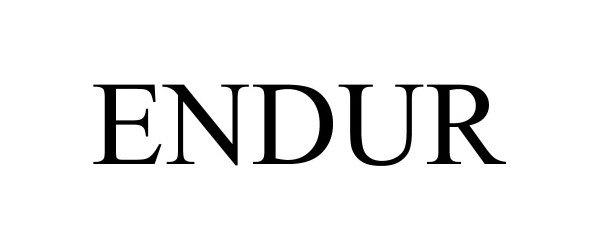 Trademark Logo ENDUR