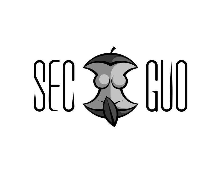 Trademark Logo SECGUO