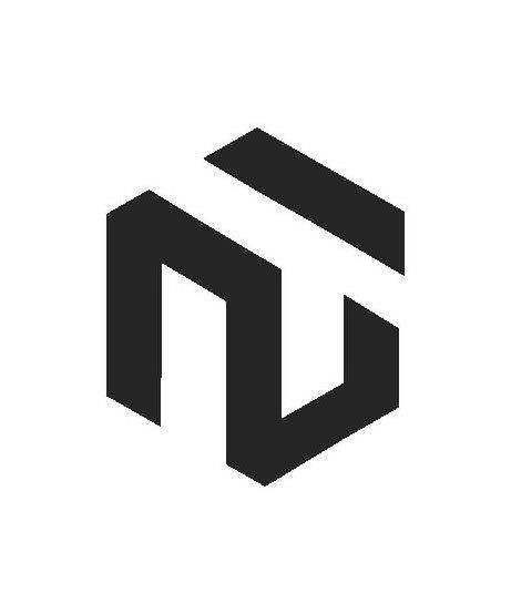 Trademark Logo NT