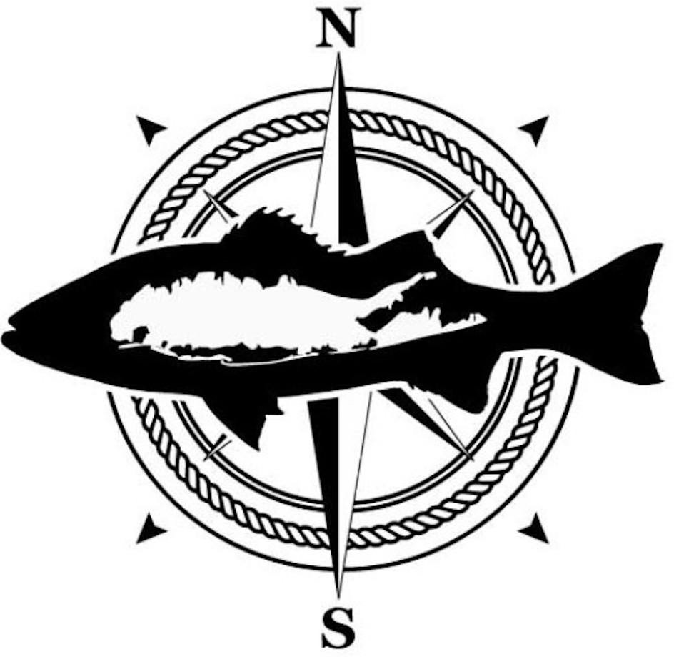 Trademark Logo N S