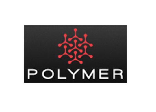 Trademark Logo POLYMER