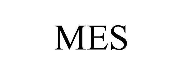 Trademark Logo MES