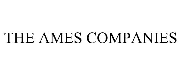  THE AMES COMPANIES