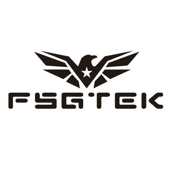 Trademark Logo FSGTEK