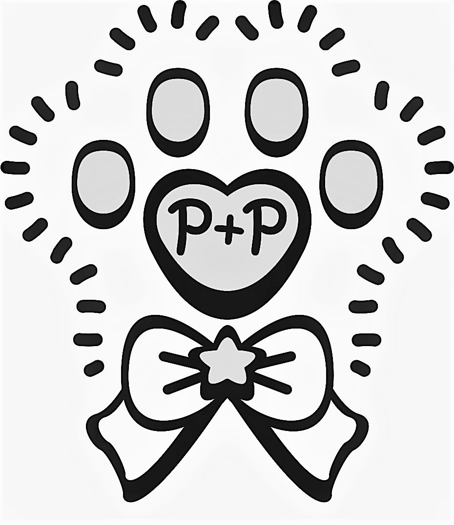 Trademark Logo P+P
