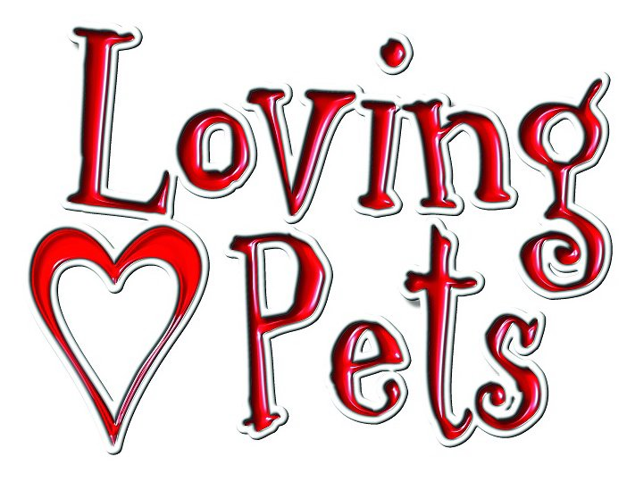 loving pets corporation        <h3 class=