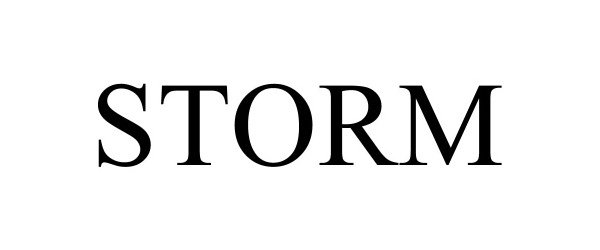 Trademark Logo STORM