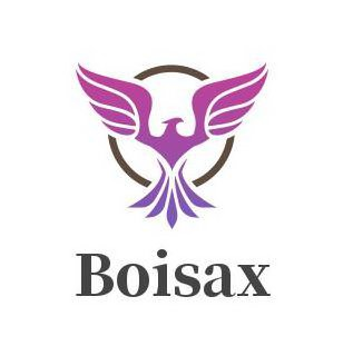Trademark Logo BOISAX