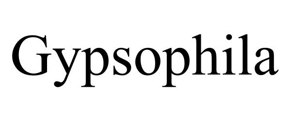  GYPSOPHILA