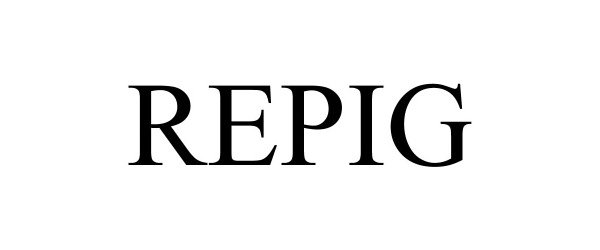 Trademark Logo REPIG