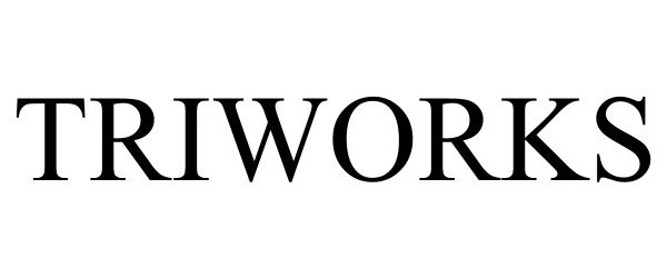 Trademark Logo TRIWORKS