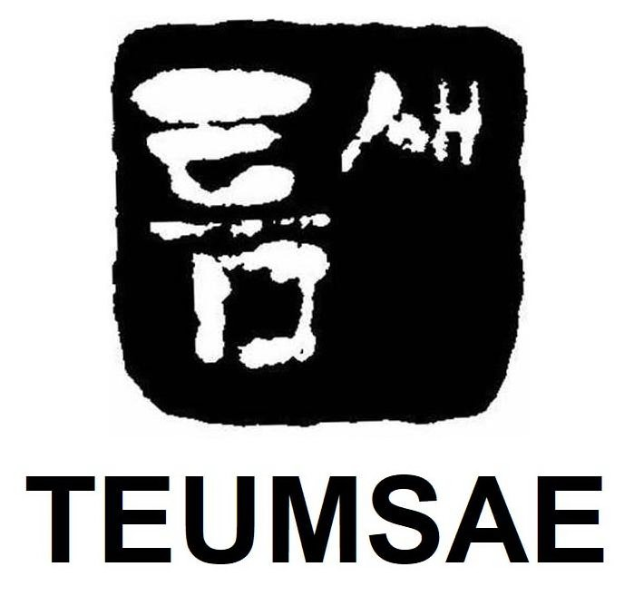 Trademark Logo TEUMSAE
