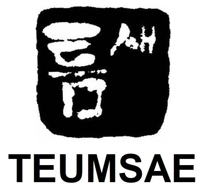  TEUMSAE