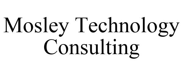  MOSLEY TECHNOLOGY CONSULTING