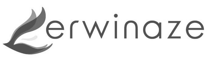 Trademark Logo ERWINAZE