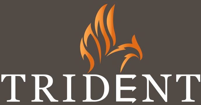 Trademark Logo TRIDENT