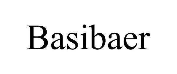  BASIBAER