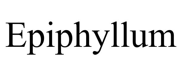  EPIPHYLLUM