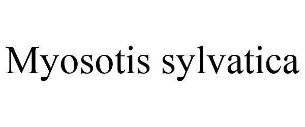  MYOSOTIS SYLVATICA