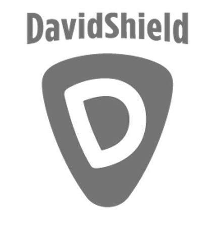  DAVIDSHELD