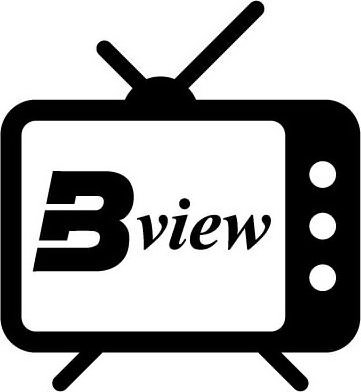 Trademark Logo B VIEW