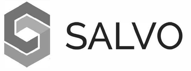 Trademark Logo S SALVO