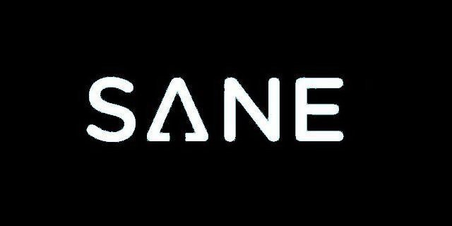 Trademark Logo SANE