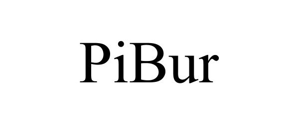 Trademark Logo PIBUR