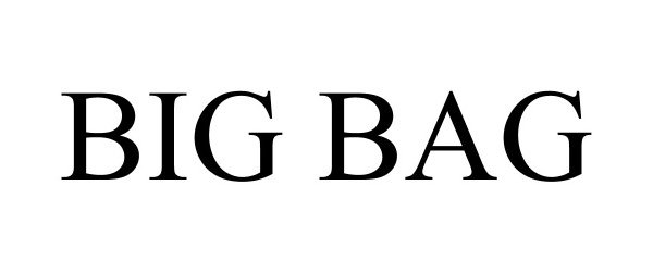 Trademark Logo BIG BAG