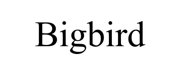  BIGBIRD