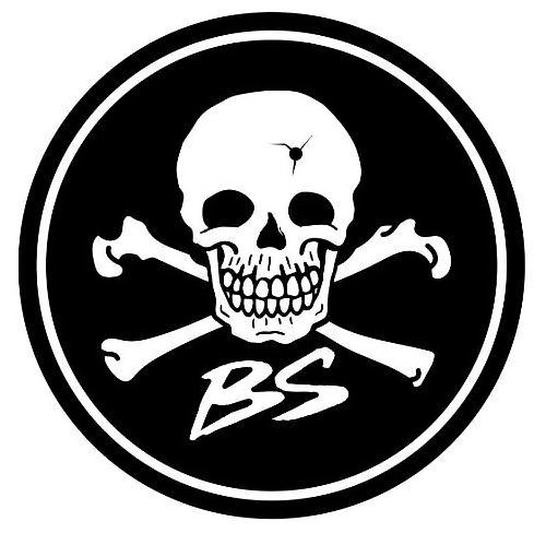 Trademark Logo BS