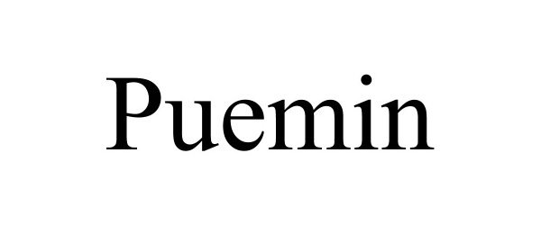  PUEMIN