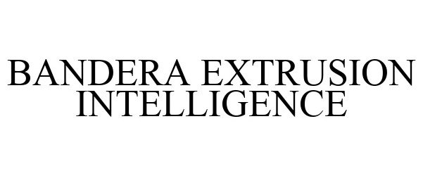  BANDERA EXTRUSION INTELLIGENCE