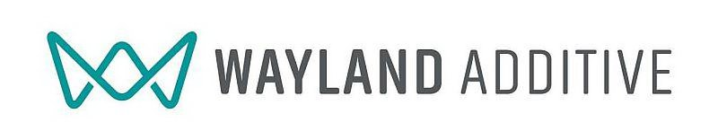 Trademark Logo WAYLAND ADDITIVE