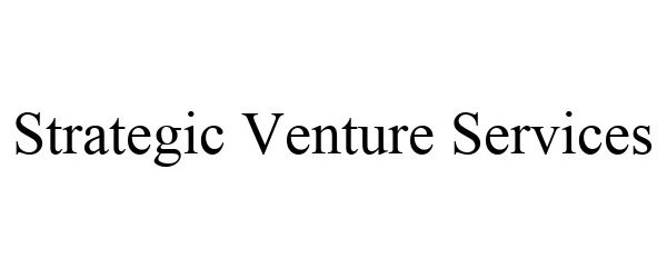  STRATEGIC VENTURE SERVICES