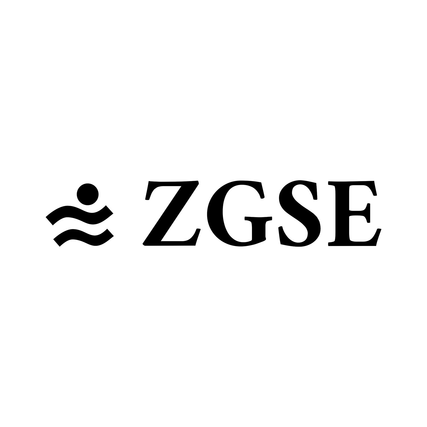  ZGSE