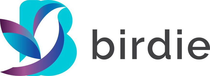 Trademark Logo B BIRDIE