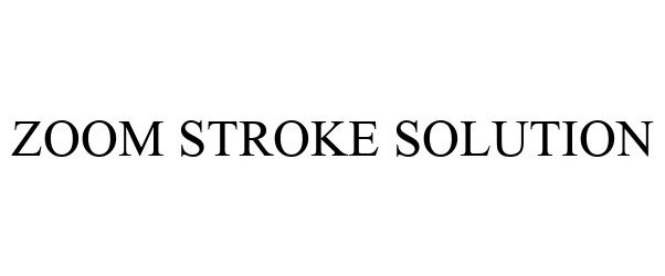  ZOOM STROKE SOLUTION