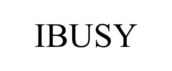  IBUSY