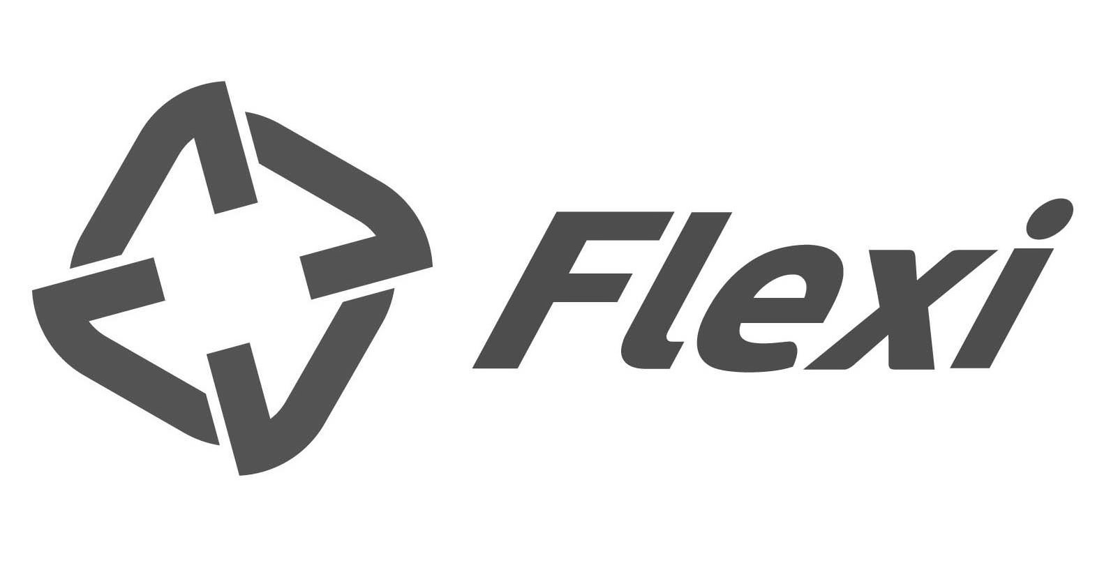 Trademark Logo FLEXI