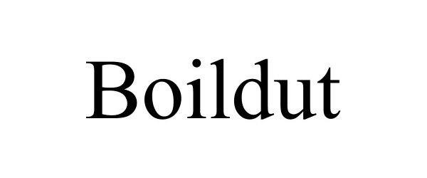  BOILDUT