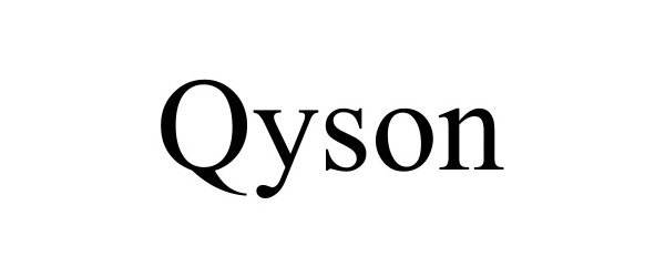 Trademark Logo QYSON
