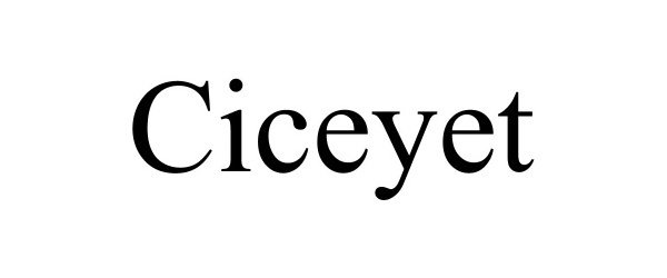  CICEYET