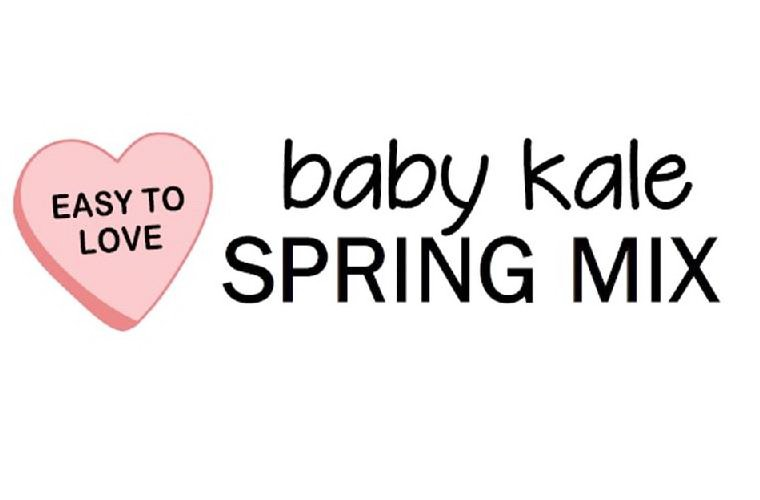 Trademark Logo EASY TO LOVE BABY KALE SPRING MIX