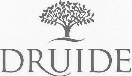 Trademark Logo DRUIDE