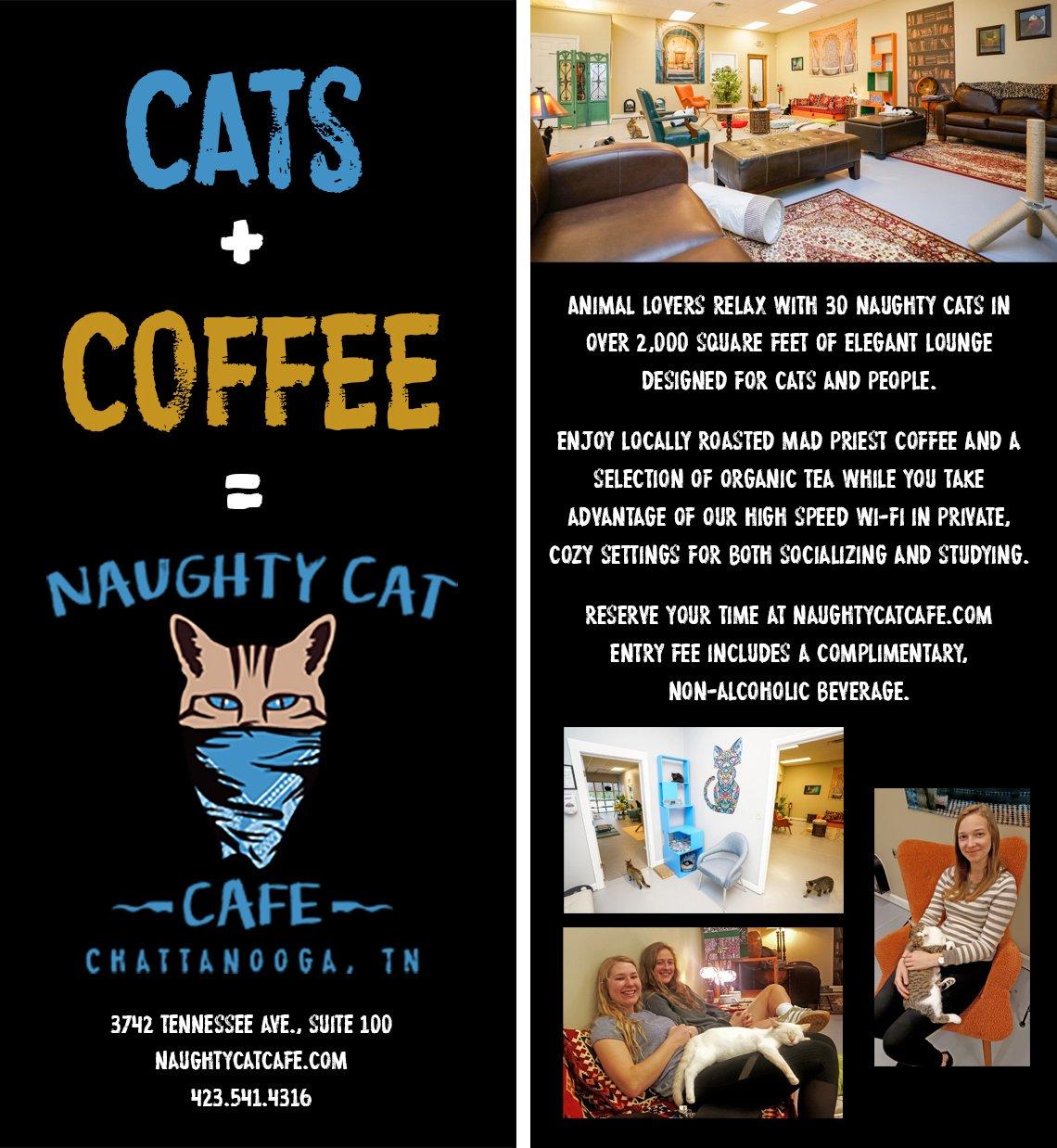 Visit — NAUGHTY CAT CAFE