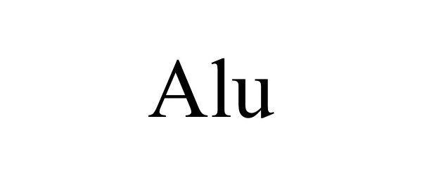 ALU