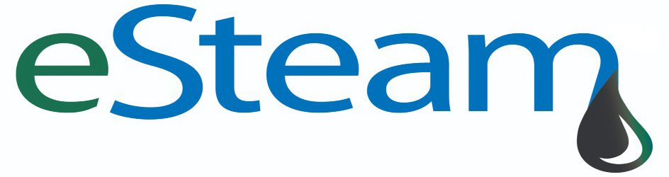 Trademark Logo ESTEAM