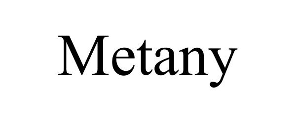  METANY