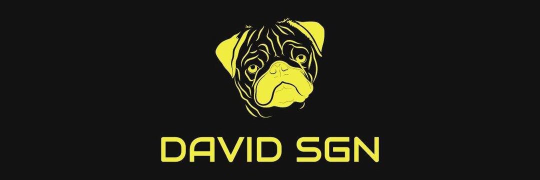  DAVID SGN